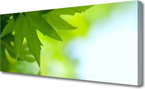 Obraz na płótnie Soczyste Zielone Liście