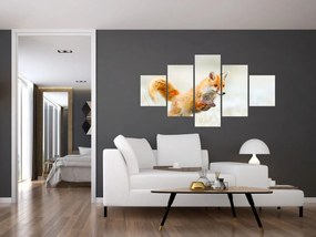 Obraz - Skaczący lis (125x70 cm)