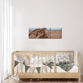 Obraz - Zmyte przez morze (z zegarem) (90x30 cm)