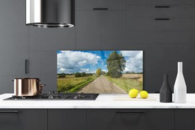 Panel Szklany do Kuchni Wiejska Droga Z Kostki