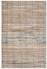 Beżowy dywan 240x340 cm Terrain – Hanse Home