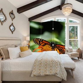 Parawan - Motyl na kwiatku (126x170 cm)