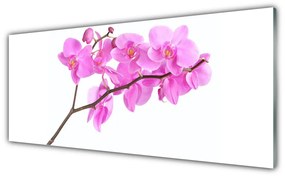 Obraz Szklany Kwiaty Roślina Natura