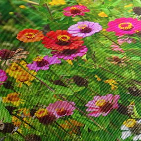 Obraz kwiatów polnych (170x50 cm)
