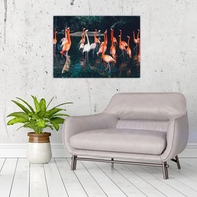 Obraz na szkle stada flamingów (70x50 cm)