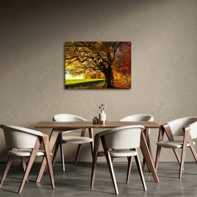 Obraz jesieni (70x50 cm)