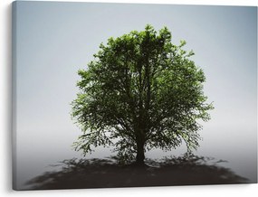 Obraz - Samotne drzewo (70x50 cm)