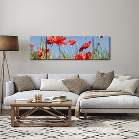 Obraz - Maki (170x50 cm)