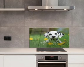 Szklany Panel Szczęśliwy Pies na Zielonej Łące