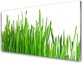 Panel Kuchenny Szum Traw Na Wietrze