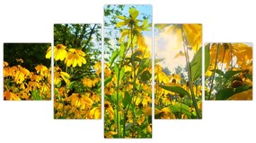 Obraz żółtych kwiatów (125x70 cm)