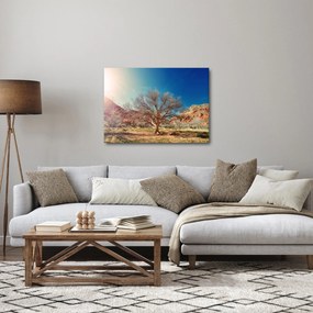 Obraz drzewa na pustyni (70x50 cm)