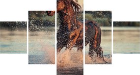 Obraz - Biegnący koń (125x70 cm)