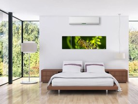 Obraz owada (170x50 cm)