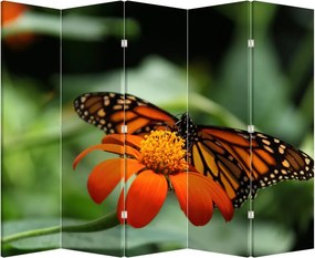 Parawan - Motyl na kwiatku (210x170 cm)