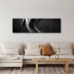Obraz - Nagie kobiety (170x50 cm)