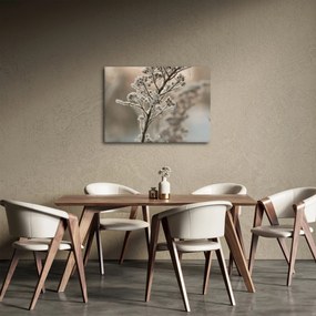 Obraz - Roślina w mrozie (70x50 cm)