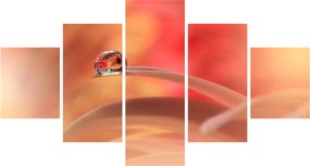 Obraz kwiecistej kropli rosy (125x70 cm)