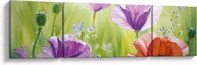 Obraz - Maki (170x50 cm)