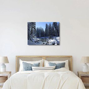 Obraz na szkle - śnieżny las (70x50 cm)