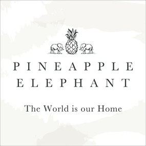 Poszewki na poduszki zestaw 2 szt. 50x75 cm Tamba Stripe – Pineapple Elephant