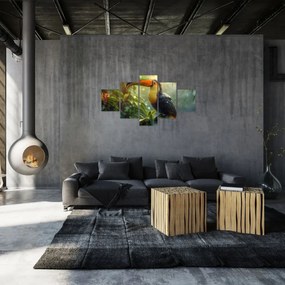 Obraz - Tukan (125x70 cm)