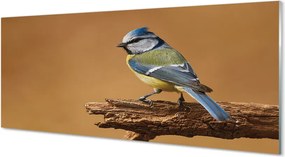 Panel Szklany Artystyczny Portret Ptaka