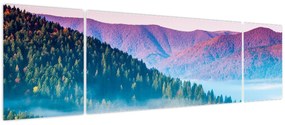 Obraz - Panorama 2 (170x50 cm)
