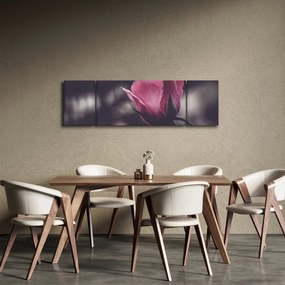 Obraz - Detal kwiatu róży (170x50 cm)