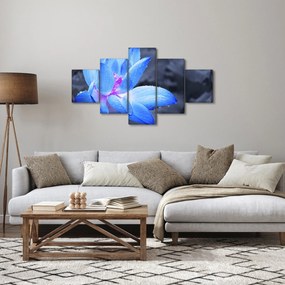 Obraz szczegółu kwiatu (125x70 cm)