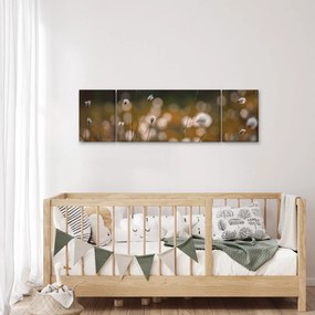 Obraz - Łąka z trawą bawełnianą N⁰2 (170x50 cm)