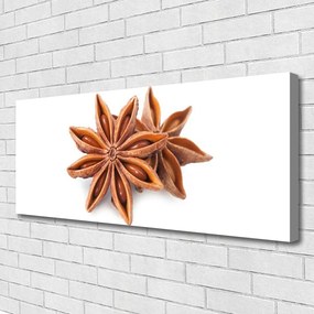 Fotoobraz na płótnie Aromat Gwieździstego Anyżu