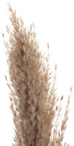 Gałązka Pampas Grass 130cm