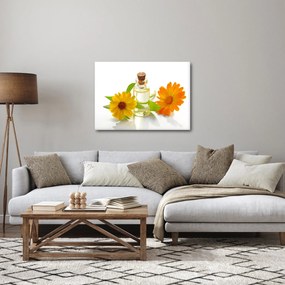 Obraz kwiatowego oleju (70x50 cm)