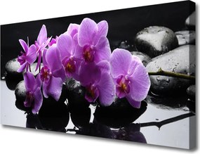 Obraz canvas Harmonijny Kwiat na Kamieniach