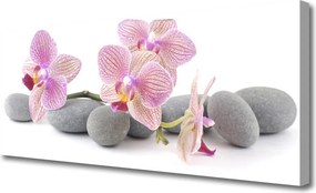 Obraz na płótnie Drzewo na Kamiennym Wzgórzu