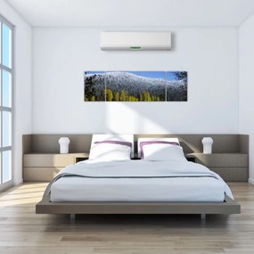Obraz - ośnieżone góry zimą (170x50 cm)