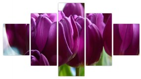 Obraz tulipanów (125x70 cm)