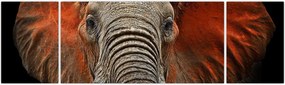 Obraz - Słonie z Tsavo (170x50 cm)