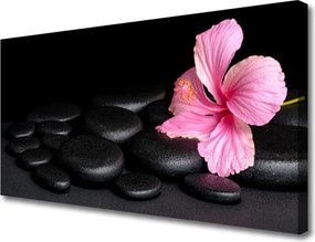 Obraz na płótnie Kontrast: Czarne Kamienie i Kwiat