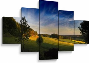 Obraz - Górska łąka (125x70 cm)