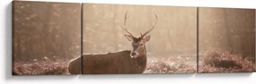 Obraz - Jeleń w lesie (170x50 cm)