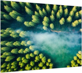 Obraz na szkle - Las spowity mgłą (70x50 cm)