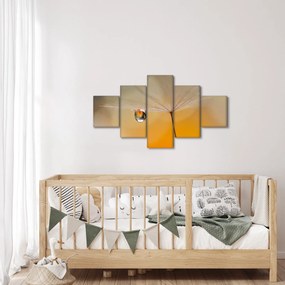Obraz - Makro kwiat (125x70 cm)