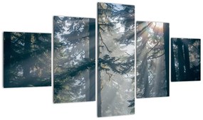 Obraz drzew, przez które prześwieca słońce (125x70 cm)