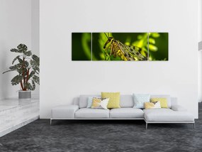 Obraz owada (170x50 cm)