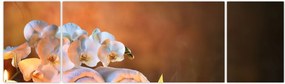 Obraz - Relaks i spa (170x50 cm)