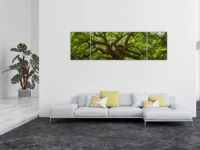 Obraz - Zielone drzewo (170x50 cm)