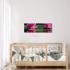 Obraz lilii wodnych na wodzie (z zegarem) (90x30 cm)