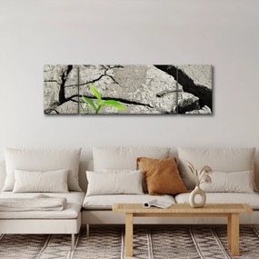 Obraz - Pęknięcia (170x50 cm)